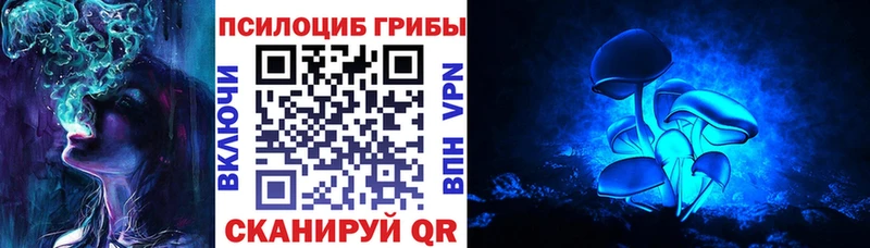 Псилоцибиновые грибы Magic Shrooms  где купить наркоту  Кимовск 